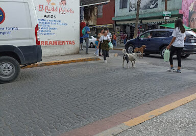 dulcerias en mexico