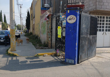 dulcerias en mexico