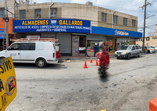 Dulcería Dulcería el Pajaro Loco, Suc. Porfirio