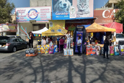 dulcerias en mexico